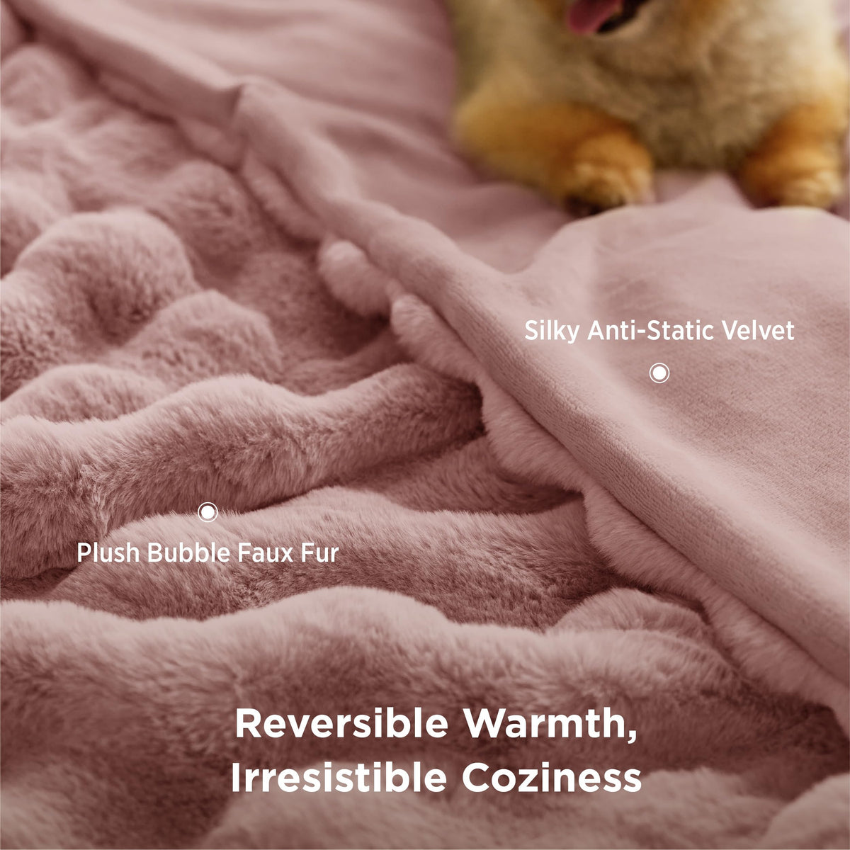 Bedsure GentleSoft double-sided comfort suits beds, sofas, and cozy evenings