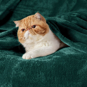 Bedsure GentleSoft fleece blanket in emerald green on bed, ideal for cozy nights.