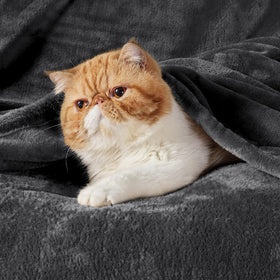 Bedsure GentleSoft fleece blanket on a bed showing full-size warmth.