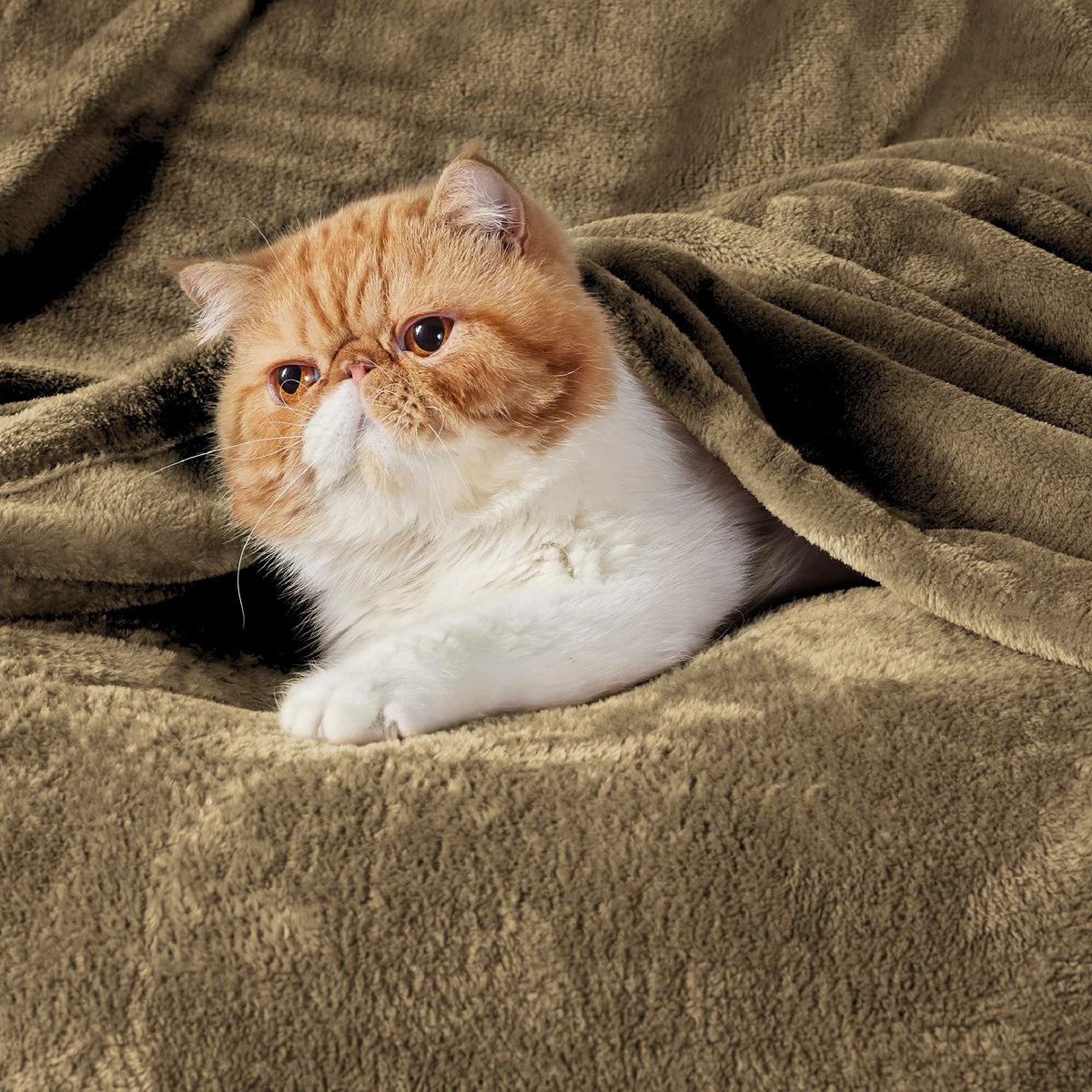 Bedsure GentleSoft fleece blanket on bed, king-size for luxurious lightweight warmth