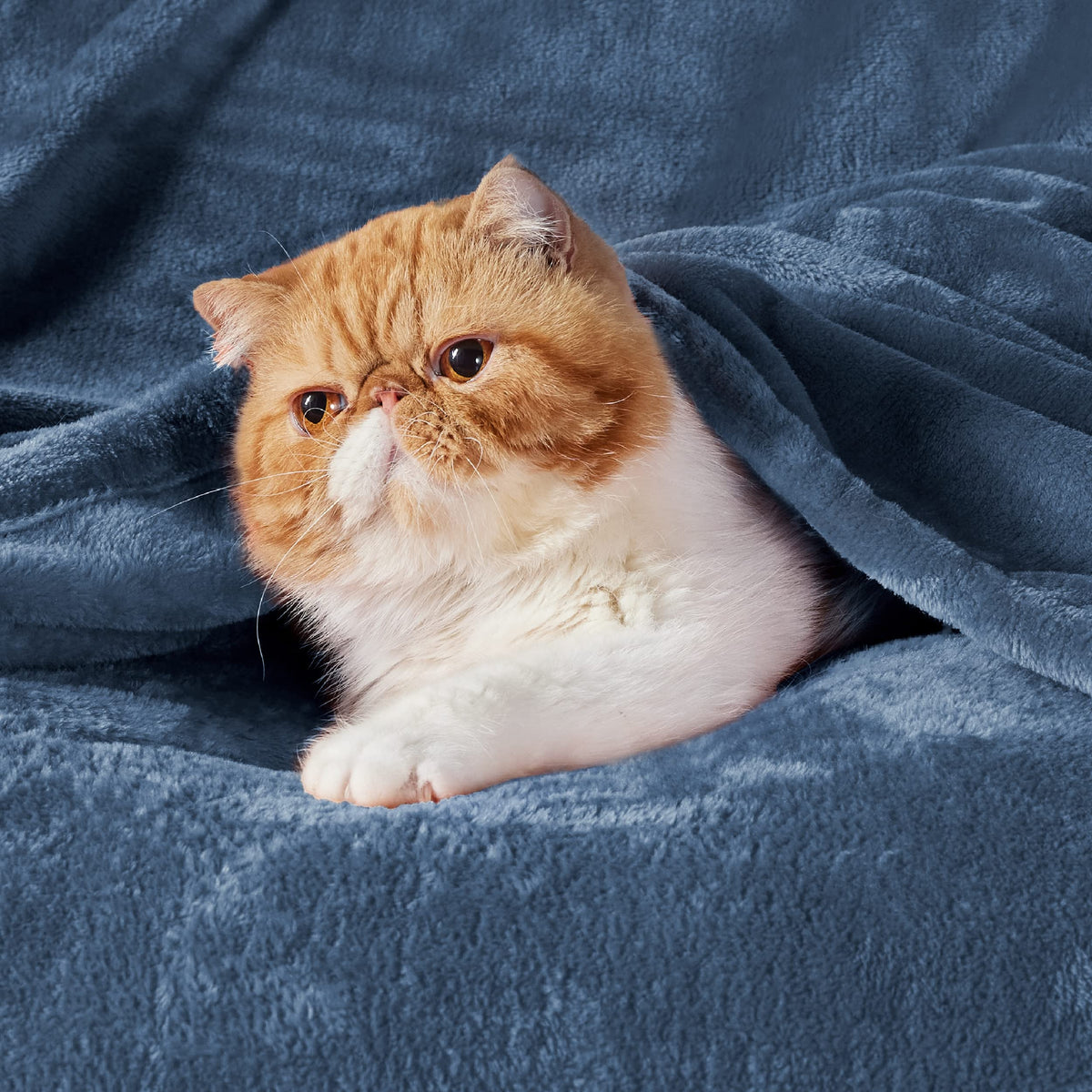 Bedsure GentleSoft fleece blanket Mineral Blue edge stitching highlights durable construction.