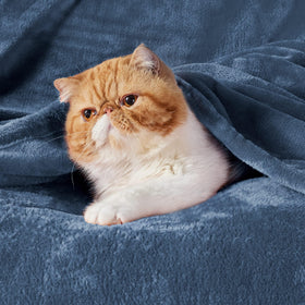 Close-up of Bedsure GentleSoft fleece blanket texture in mineral blue