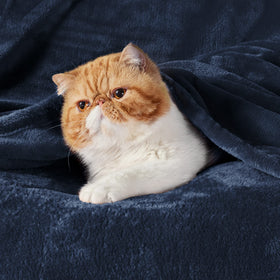 Bedsure GentleSoft navy fabric closeup highlights plush texture