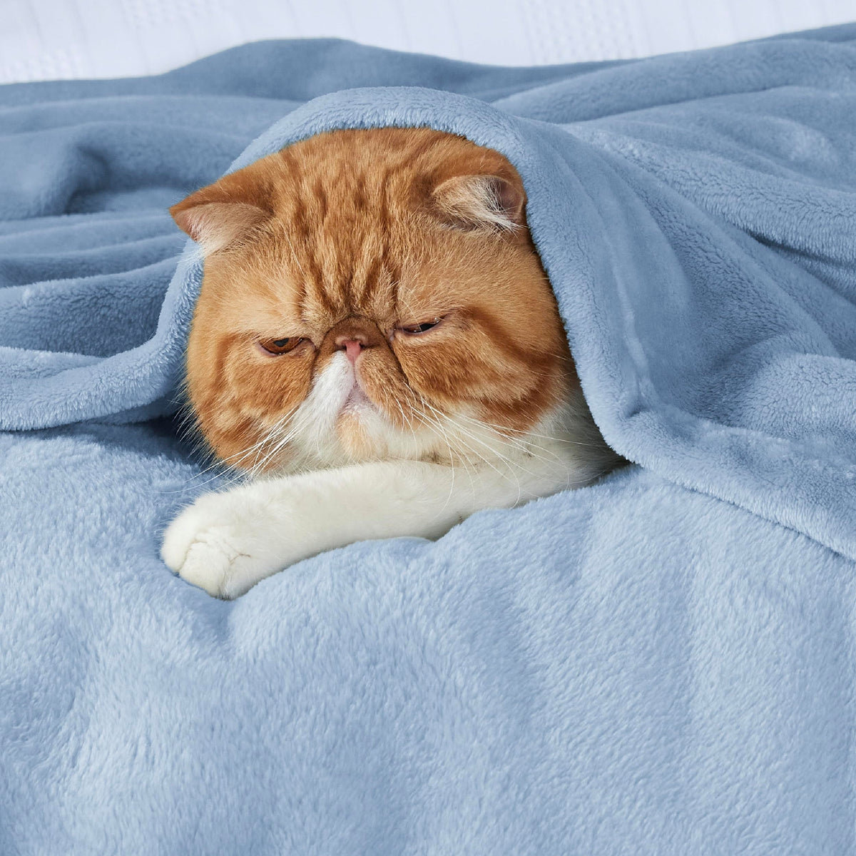 Bedsure GentleSoft fleece blanket on bed showcases smooth surface and warmth
