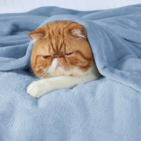 Bedsure GentleSoft fleece blanket on bed showcases smooth surface and warmth