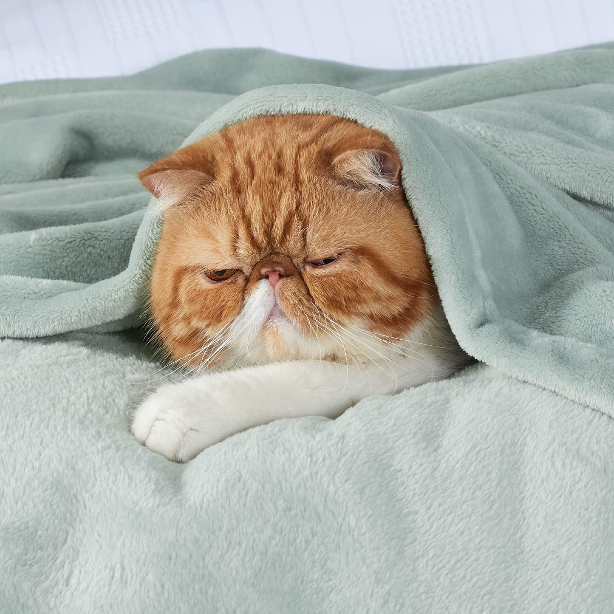 Bedsure GentleSoft fleece blanket on couch for a cozy movie night.
