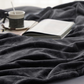 Bedsure GentleSoft fleece blanket with a pet, cozy snuggle on couch.