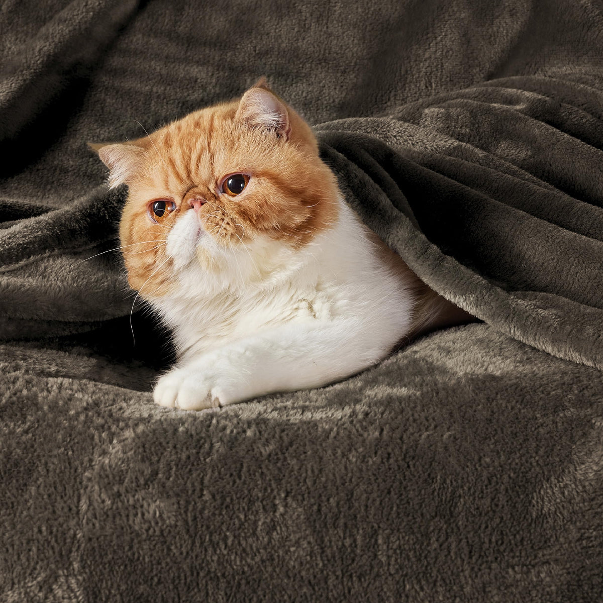 Bedsure GentleSoft blanket close-up of microfiber fibers for ultra-soft feel.