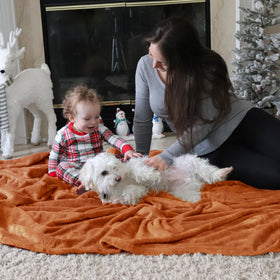 Bedsure GentleSoft fleece blanket in color variant to brighten room decor.