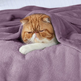 Bedsure GentleSoft ultra-soft fog purple fleece texture highlights warmth without bulk.