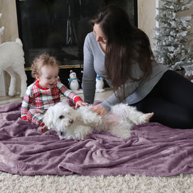 Bedsure GentleSoft fog purple fleece beside a pet shows easy care and shared comfort.