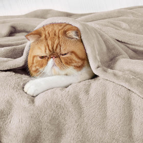 Bedsure GentleSoft fleece blanket close-up fabric, highlighting soft microfleece texture and quality.