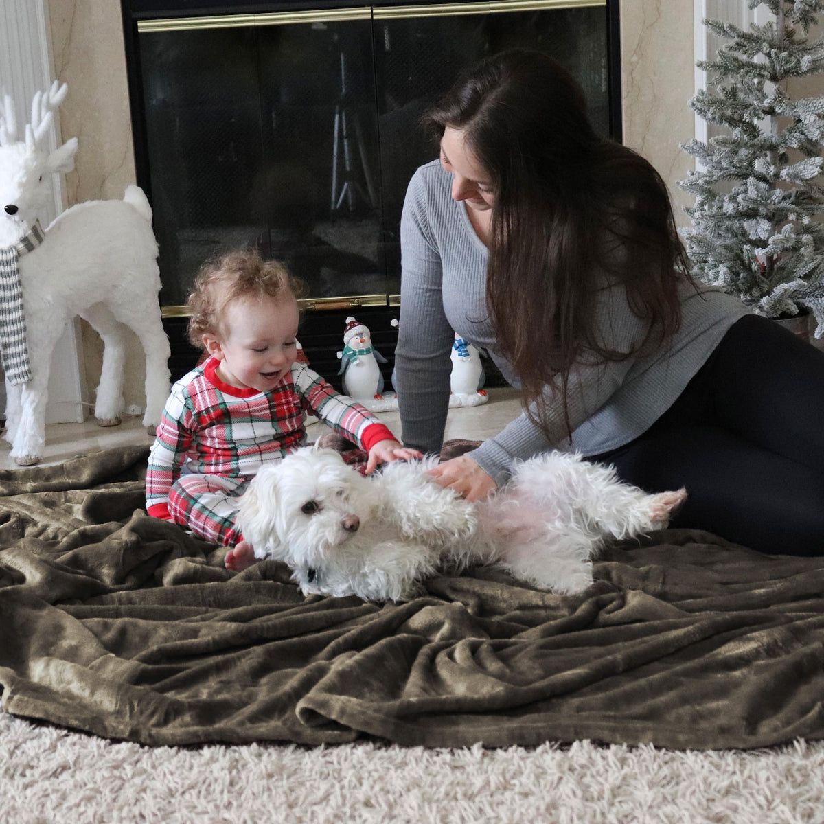 Bedsure GentleSoft fleece blanket with pets nearby for snuggling.