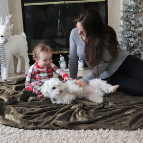 Bedsure GentleSoft fleece blanket with pets nearby for snuggling.