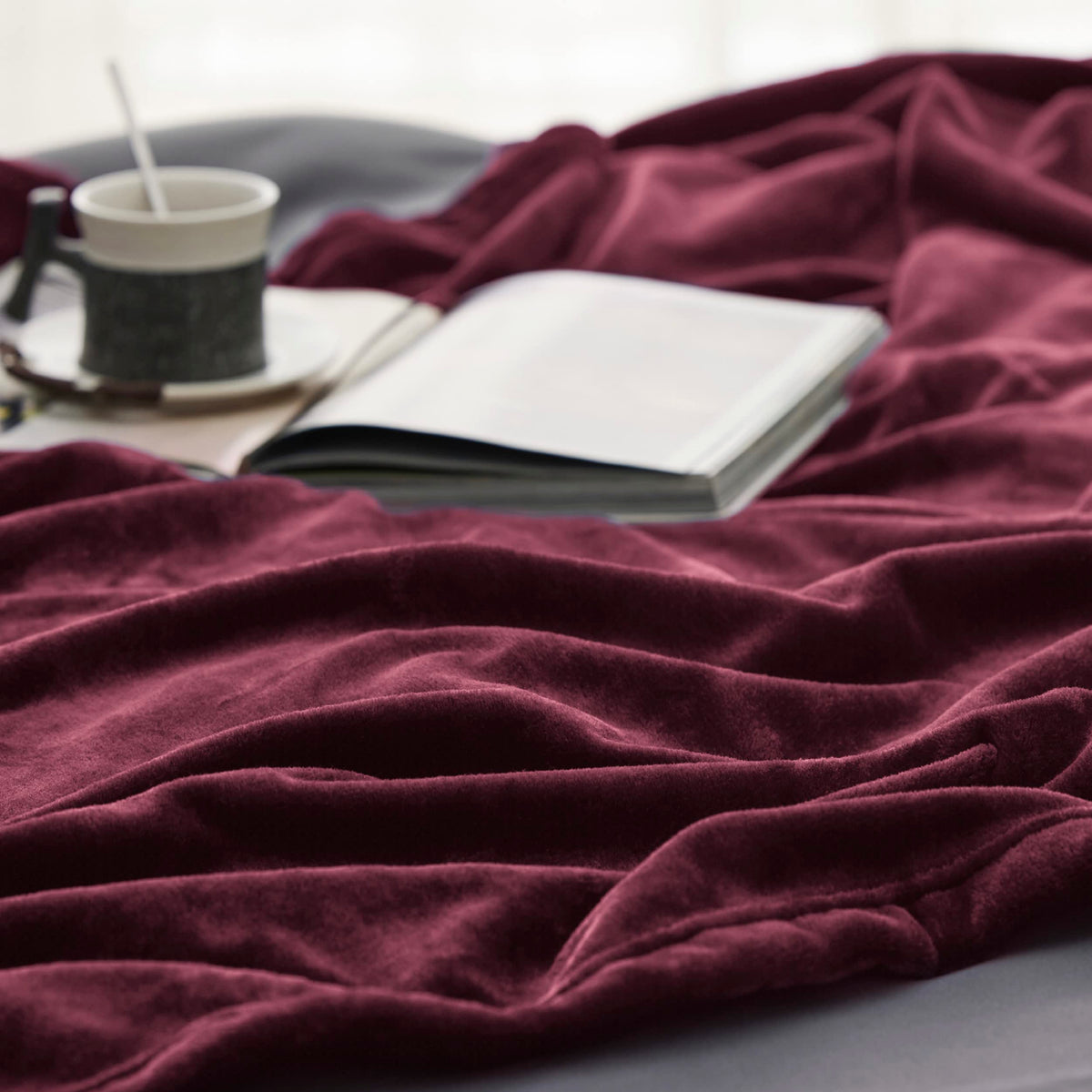 Bedsure GentleSoft fleece blanket on a couch with a pet for cuddly evenings.