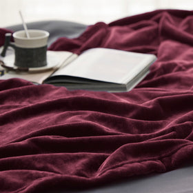 Bedsure GentleSoft fleece blanket on a couch with a pet for cuddly evenings.