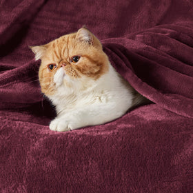 Bedsure GentleSoft fleece blanket on bed showing rich burgundy color and warmth.