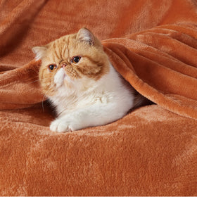 Bedsure GentleSoft fleece blanket close-up shows ultra-soft texture for snuggling.