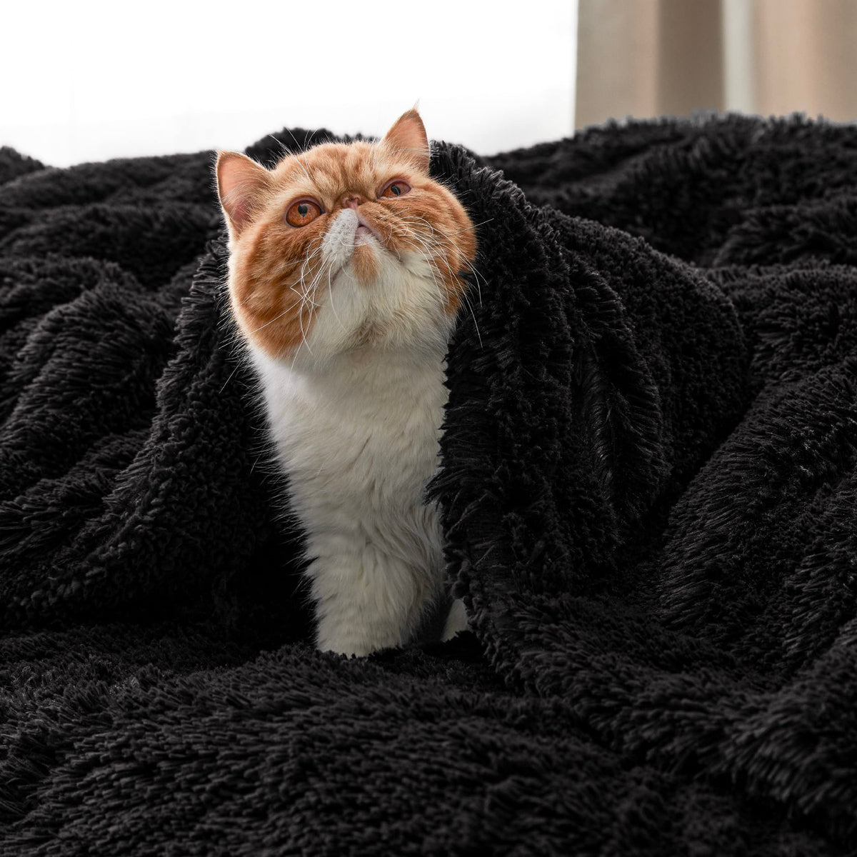 Bedsure GentleSoft faux fur throw on couch — luxurious texture for cozy decor