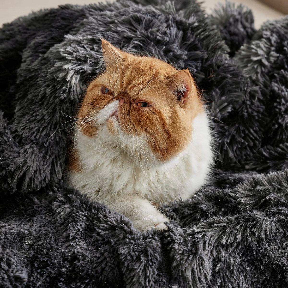 Bedsure GentleSoft fluffy blanket texture detail close-up showing plush fibers.