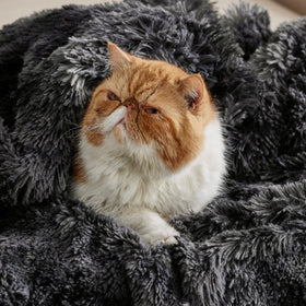 Bedsure GentleSoft fluffy blanket texture detail close-up showing plush fibers.