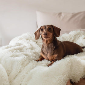 Bedsure GentleSoft throw on outdoor chair suits cool evenings.
