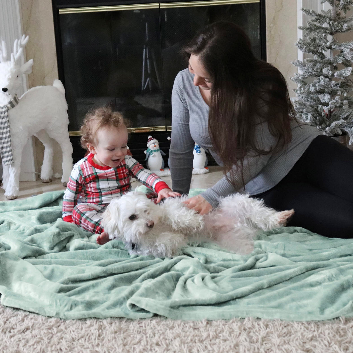 Bedsure GentleSoft sage green blanket with pet-friendly cozy vibe.