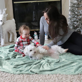Bedsure GentleSoft sage green blanket with pet-friendly cozy vibe.