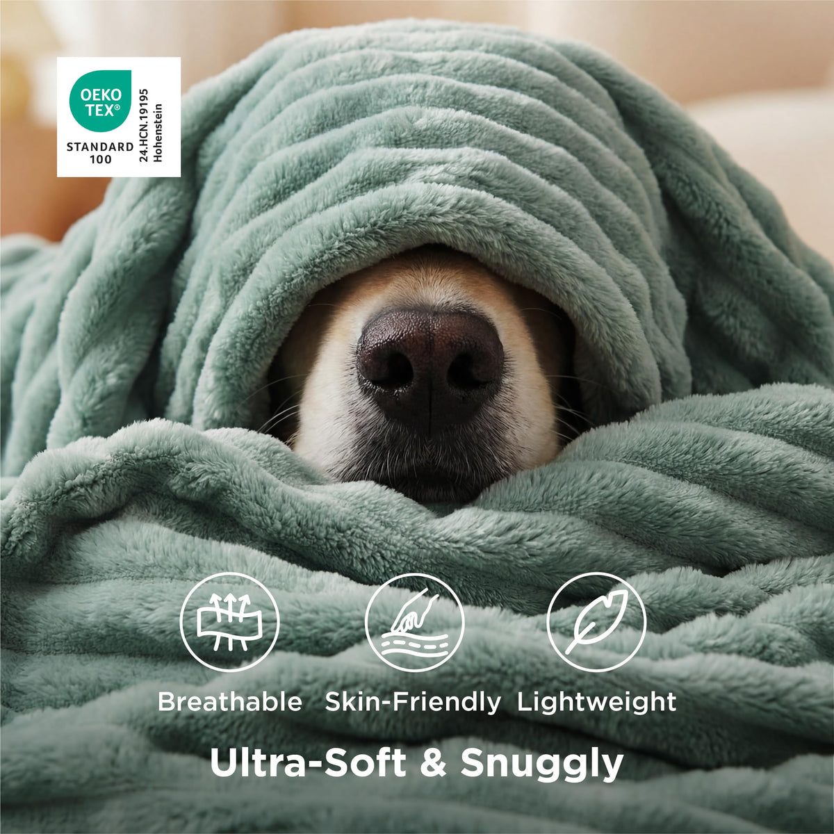 Bedsure GentleSoft Sage Green Throw draped on bed for warm decor