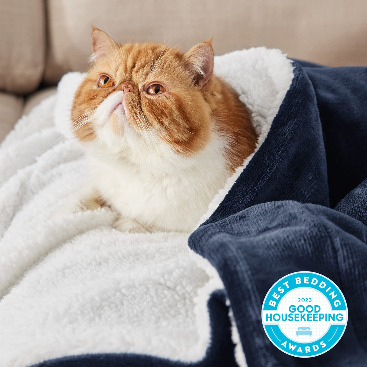 Bedsure GentleSoft Sherpa Blanket back view highlights ultra-soft Sherpa reverse for extra snuggle warmth