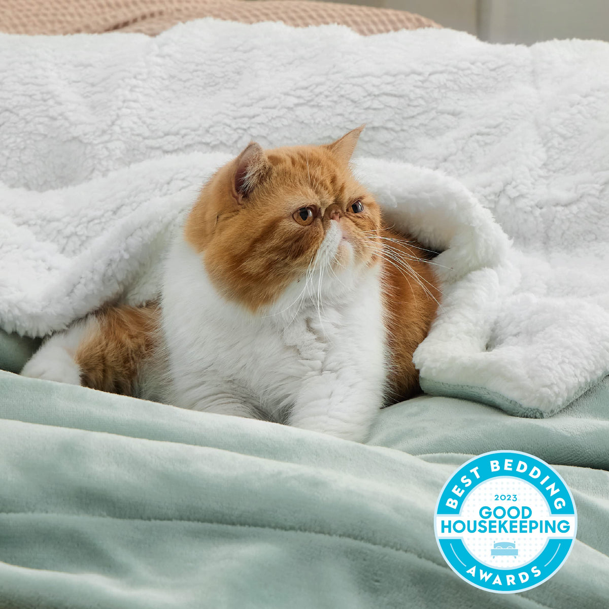 Bedsure GentleSoft sherpa blanket close-up reveals plush, double-sided texture.