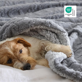Winter decor with Bedsure Gentlesoft Sherpa blanket as a cozy accent