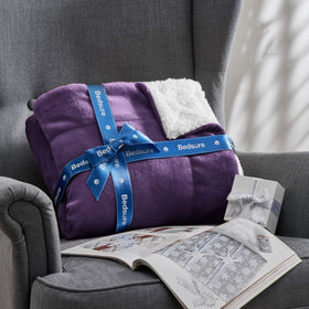 Bedsure GentleSoft sherpa fleece throw with pet-friendly cozy cuddle spot