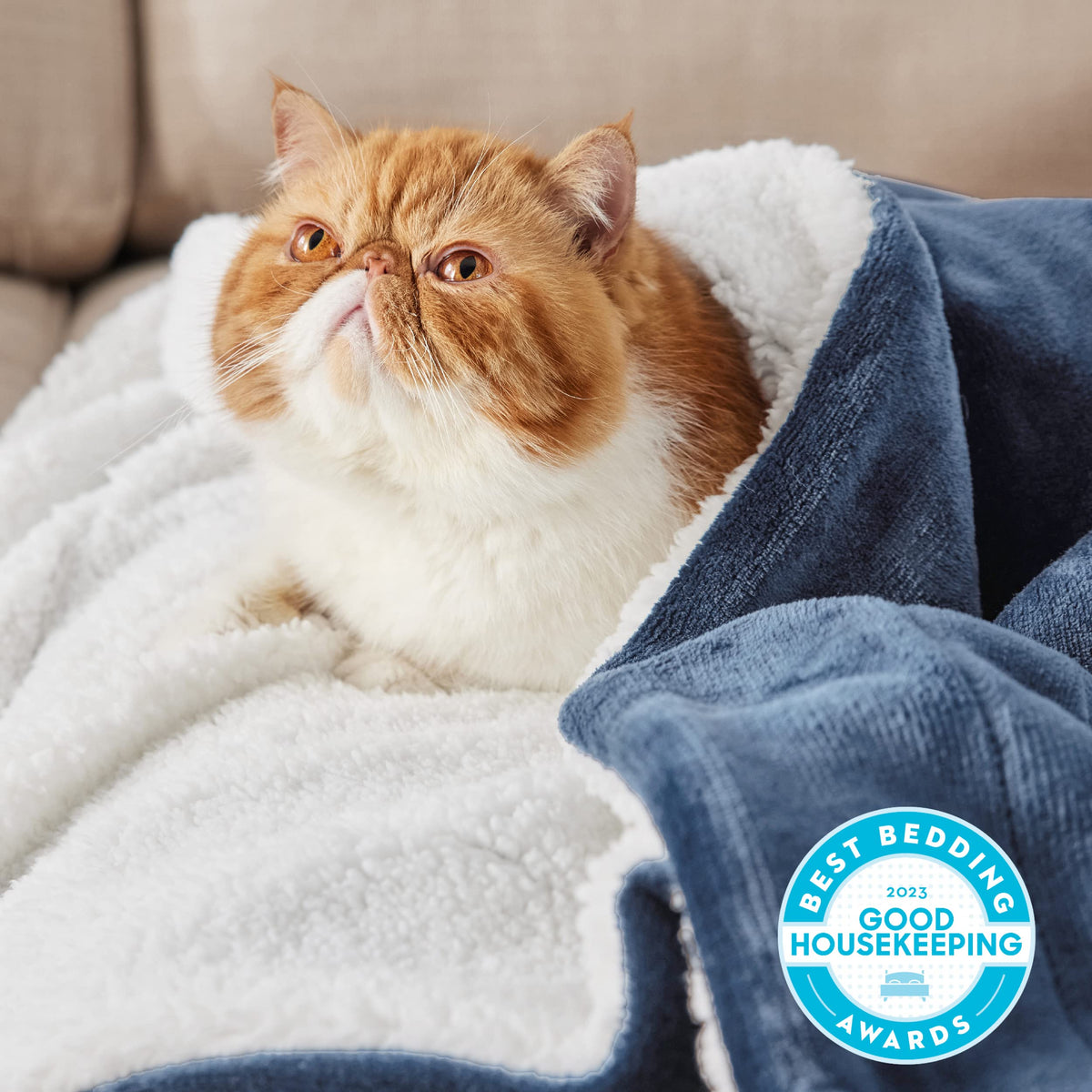 Bedsure GentleSoft Sherpa Throw folded on couch for cozy relaxation