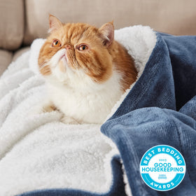 Bedsure GentleSoft Sherpa Throw folded on couch for cozy relaxation