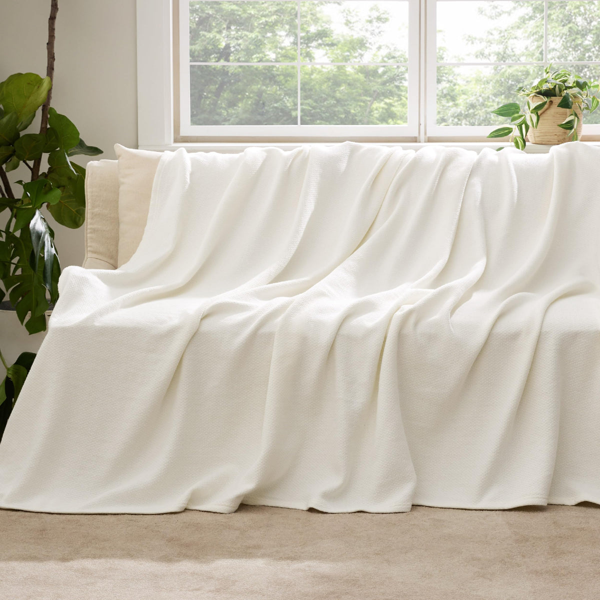 Bedsure GentleSoft throw 50x70 inch size for generous couch coverage