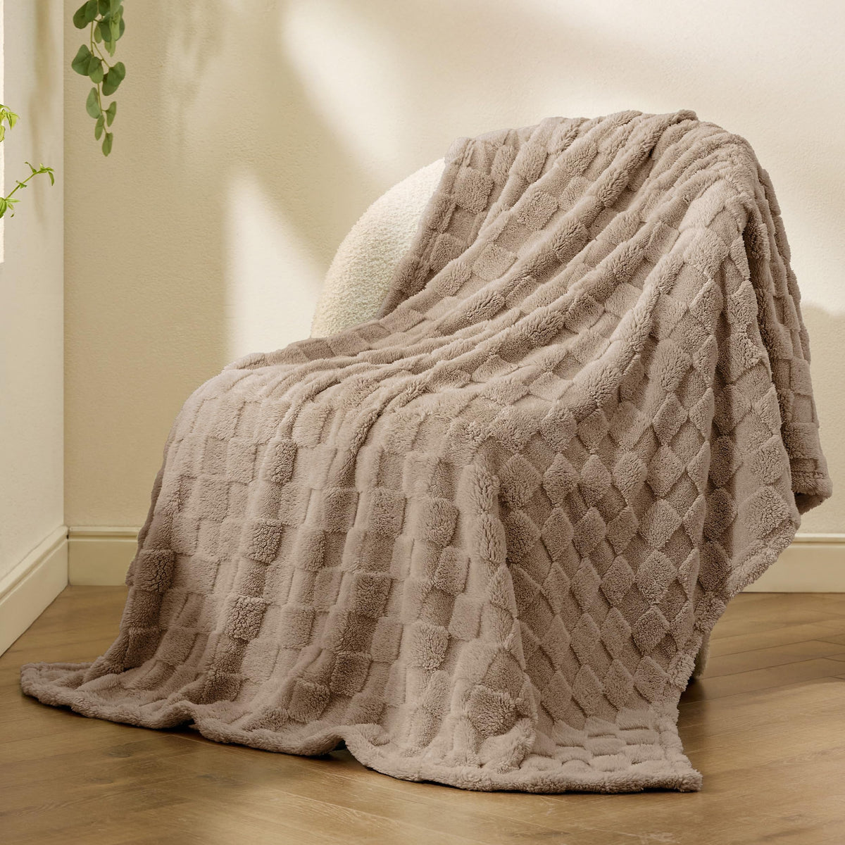 Bedsure Gentlesoft throw gift-ready packaging suitable for gifting
