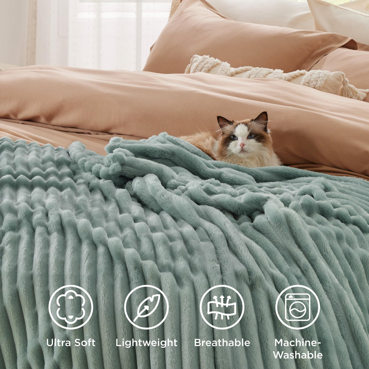 Bedsure GentleSoft blanket on sofa during movie night for lounging