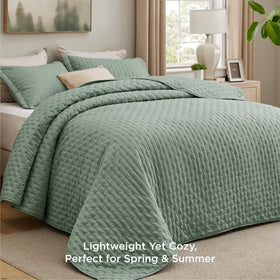 Bedsure quilt sage green embossed pattern adds depth to decor