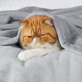 Bedsure light grey fleece blanket adds versatile comfort to any room.