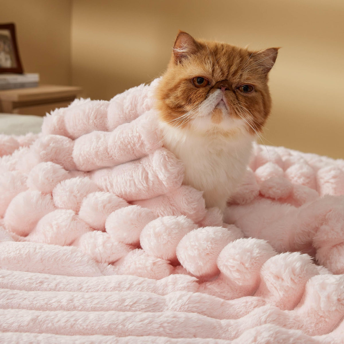Bedsure lightweight blanket is versatile for sofa, bed, or travel.