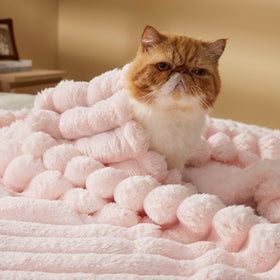 Bedsure lightweight blanket is versatile for sofa, bed, or travel.