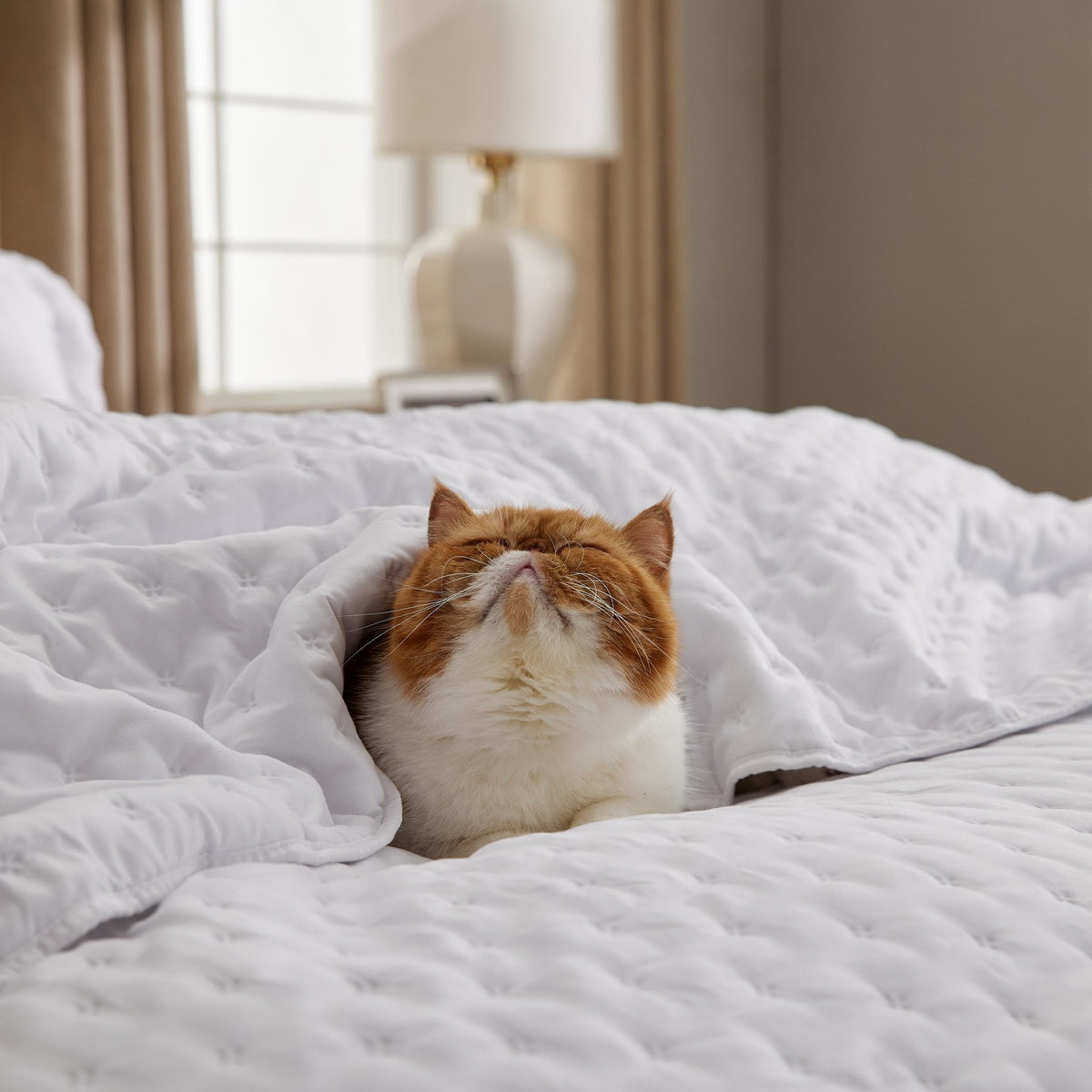 Bedsure OEKO-TEX certified assurance for safe reliable bedding.