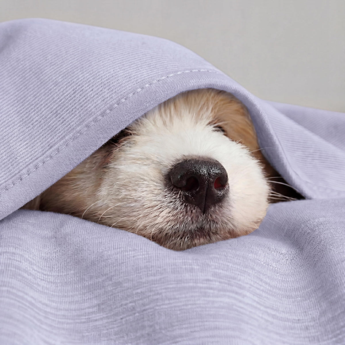 Bedsure purple cooling blanket with reversible design for year-round comfort