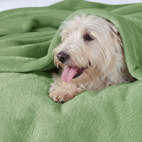 Bedsure queen size blanket draped over bed for snug everyday warmth