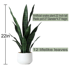 Beebel artificial sansevieria with 12 leaves for desk or shelf styling.