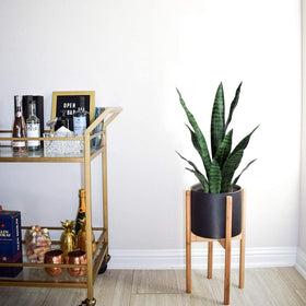 Beebel greenery for office decor adds evergreen charm without upkeep.
