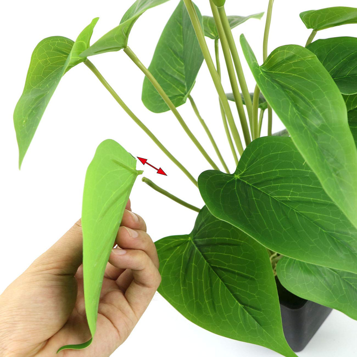 Beebel ready-to-display decor piece enhances home and workspace ambiance.