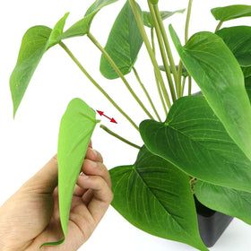 Beebel ready-to-display decor piece enhances home and workspace ambiance.