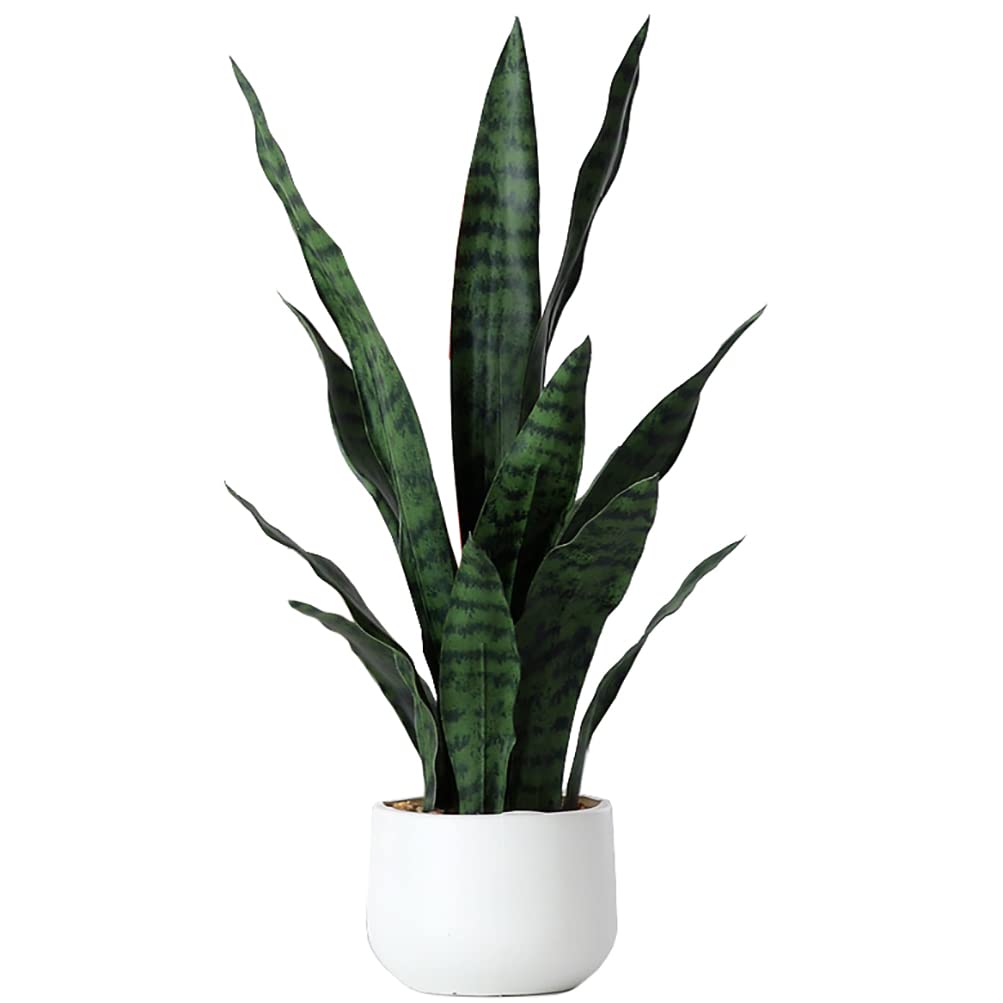 Beebel 22 inch snake plant in black pot for home or office decor, maintenance-free.